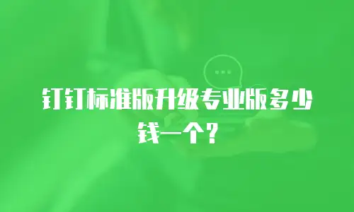 钉钉标准版升级专业版多少钱一个？