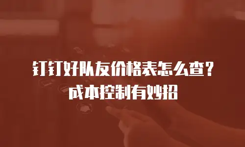 钉钉好队友价格表怎么查？成本控制有妙招