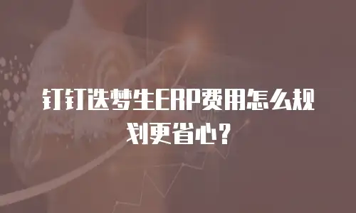 钉钉迭梦生ERP费用怎么规划更省心？