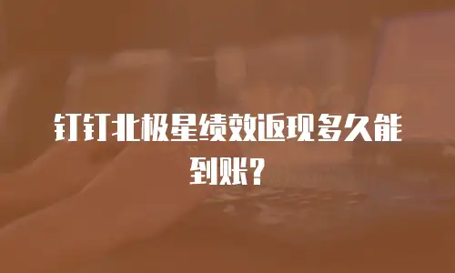钉钉北极星绩效返现多久能到账？