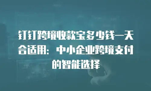 钉钉跨境收款宝多少钱一天合适用：中小企业跨境支付的智能选择