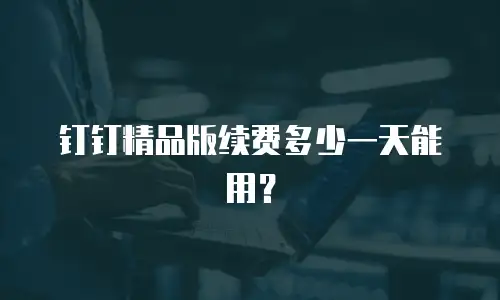 钉钉精品版续费多少一天能用？
