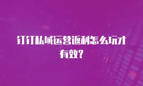 钉钉私域运营返利怎么玩才有效？
