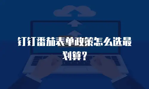 钉钉番茄表单政策怎么选最划算？