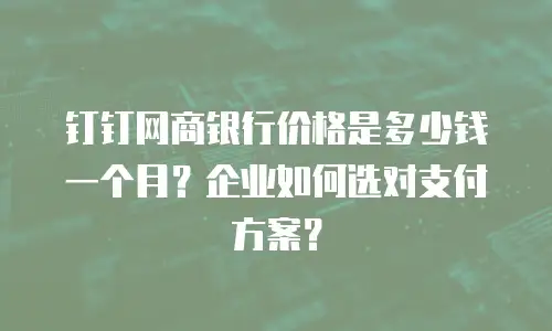 钉钉网商银行价格是多少钱一个月？企业如何选对支付方案？