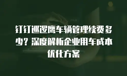 钉钉巡逻鹰车辆管理续费多少？深度解析企业用车成本优化方案