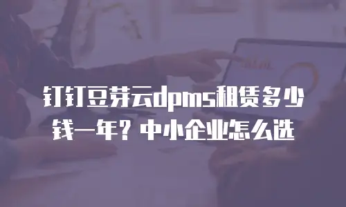 钉钉豆芽云dpms租赁多少钱一年？中小企业怎么选