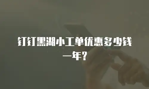 钉钉黑湖小工单优惠多少钱一年？