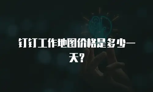 钉钉工作地图价格是多少一天？