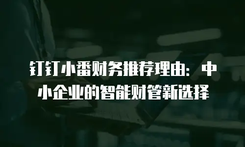 钉钉小番财务推荐理由：中小企业的智能财管新选择