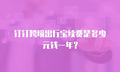 钉钉跨境出行宝续费是多少元钱一年？