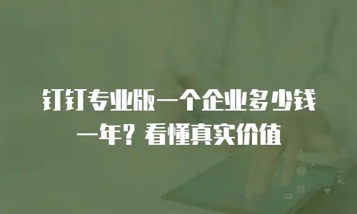钉钉专业版一个企业多少钱一年？看懂真实价值