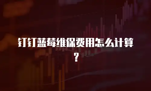 钉钉蓝莓维保费用怎么计算？