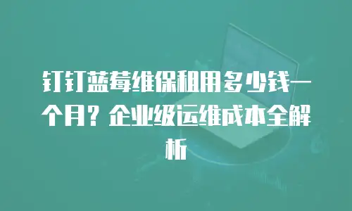 钉钉蓝莓维保租用多少钱一个月？企业级运维成本全解析