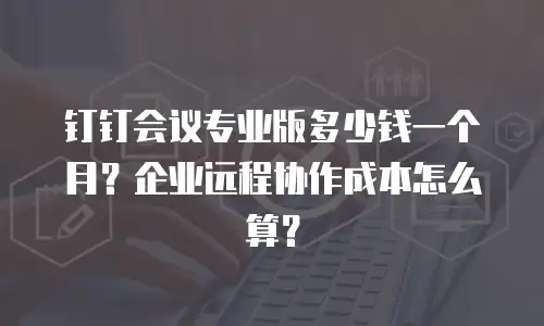 钉钉会议专业版多少钱一个月？企业远程协作成本怎么算？