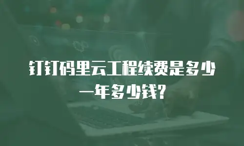 钉钉码里云工程续费是多少一年多少钱？