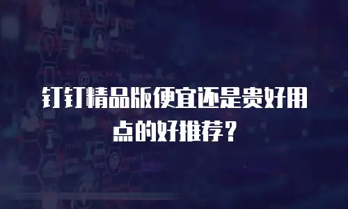 钉钉精品版便宜还是贵好用点的好推荐？