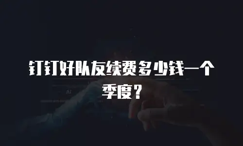 钉钉好队友续费多少钱一个季度？