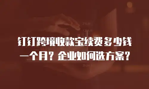 钉钉跨境收款宝续费多少钱一个月？企业如何选方案？