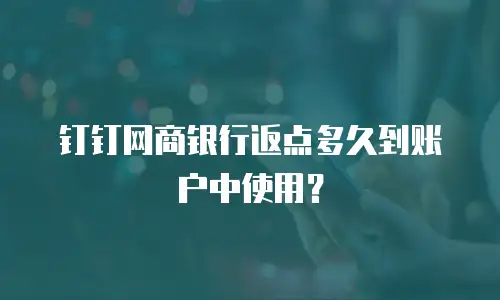 钉钉网商银行返点多久到账户中使用？