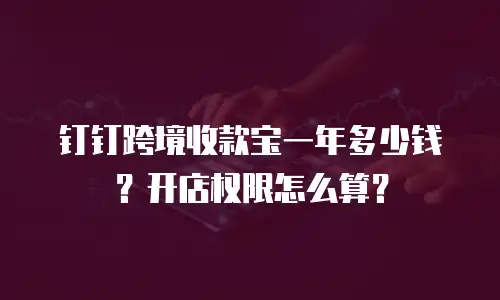 钉钉跨境收款宝一年多少钱？开店权限怎么算？