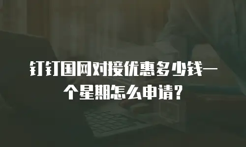 钉钉国网对接优惠多少钱一个星期怎么申请？