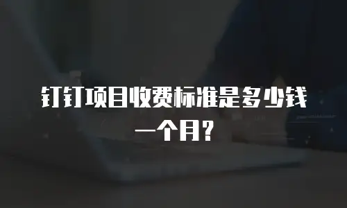 钉钉项目收费标准是多少钱一个月？