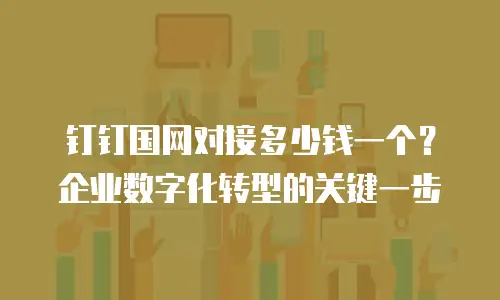 钉钉国网对接多少钱一个？企业数字化转型的关键一步