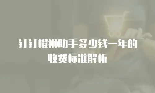 钉钉橙狮助手多少钱一年的收费标准解析