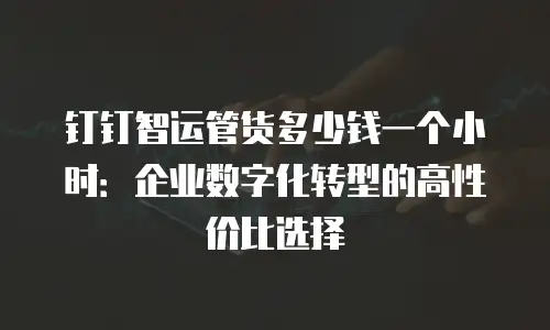 钉钉智运管货多少钱一个小时：企业数字化转型的高性价比选择