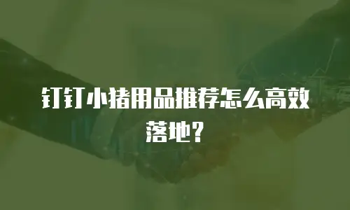 钉钉小猪用品推荐怎么高效落地？