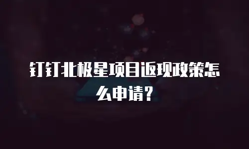 钉钉北极星项目返现政策怎么申请？