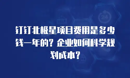 钉钉北极星项目费用是多少钱一年的？企业如何科学规划成本？