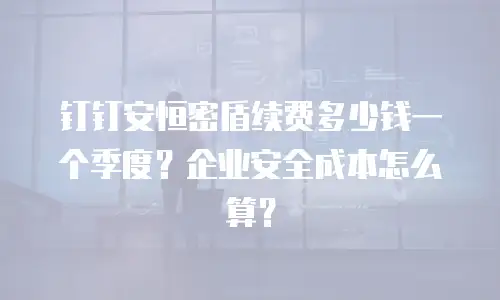 钉钉安恒密盾续费多少钱一个季度？企业安全成本怎么算？