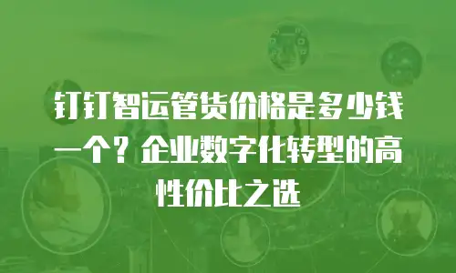 钉钉智运管货价格是多少钱一个？企业数字化转型的高性价比之选