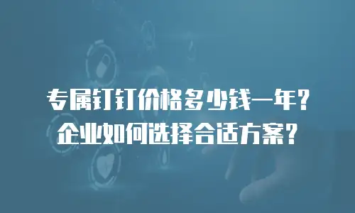 专属钉钉价格多少钱一年？企业如何选择合适方案？