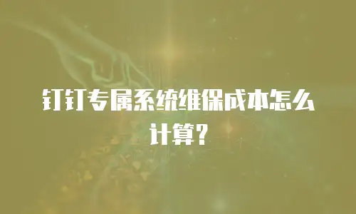 钉钉专属系统维保成本怎么计算？