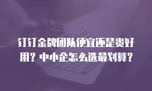 钉钉金牌团队便宜还是贵好用？中小企怎么选最划算？