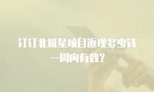 钉钉北极星项目返现多少钱一周内有效？