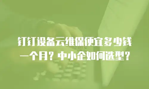 钉钉设备云维保便宜多少钱一个月？中小企如何选型？