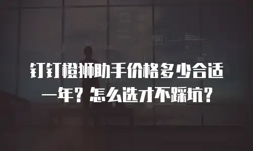 钉钉橙狮助手价格多少合适一年？怎么选才不踩坑？