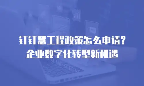 钉钉慧工程政策怎么申请？企业数字化转型新机遇