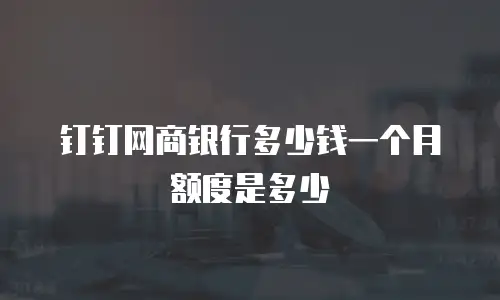 钉钉网商银行多少钱一个月额度是多少