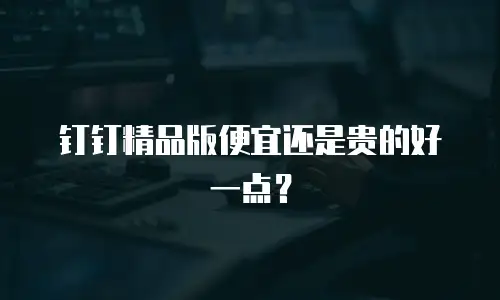 钉钉精品版便宜还是贵的好一点？
