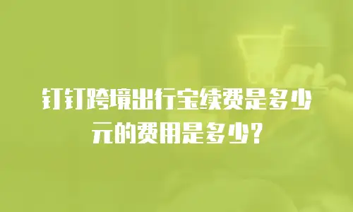 钉钉跨境出行宝续费是多少元的费用是多少？