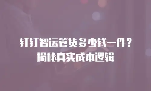 钉钉智运管货多少钱一件？揭秘真实成本逻辑