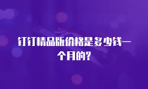 钉钉精品版价格是多少钱一个月的？