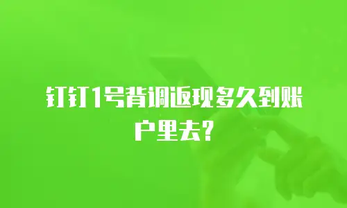 钉钉1号背调返现多久到账户里去？