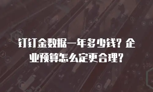 钉钉金数据一年多少钱？企业预算怎么定更合理？