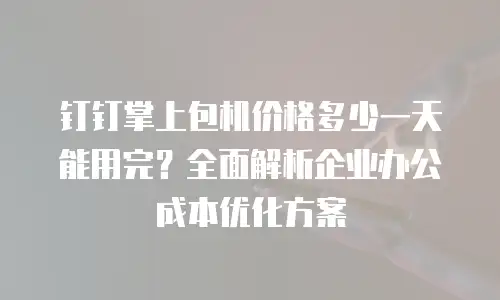 钉钉掌上包机价格多少一天能用完？全面解析企业办公成本优化方案